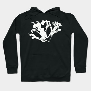 Cauliflower - Vegetables - BOTANICAL Hoodie